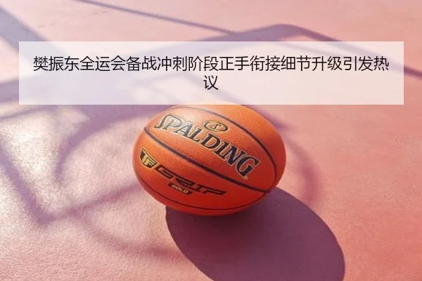樊振东全运会备战冲刺阶段正手衔接细节升级引发热议